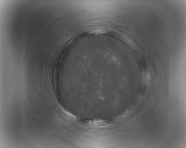 X0000070410517200606121333