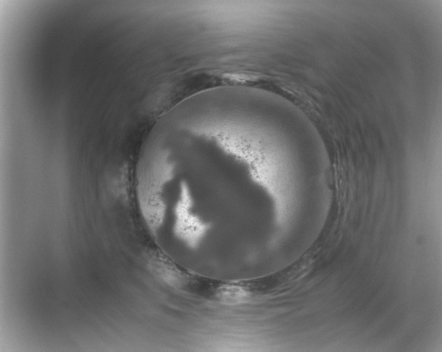 X0000070410519200606121333