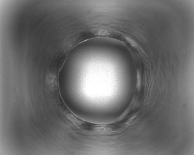 X0000070410521200606121333