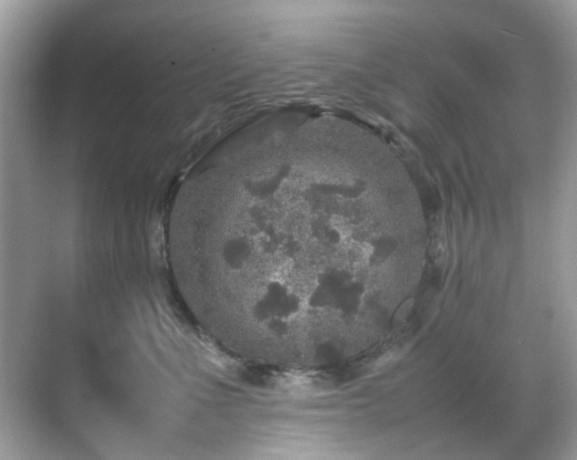 X0000070410523200606121333