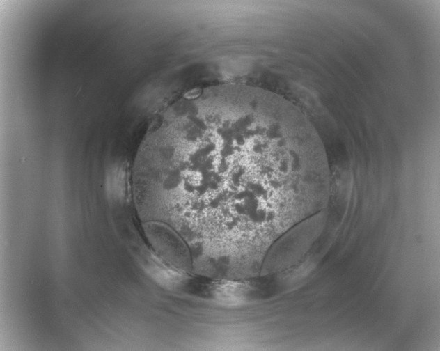 X0000070410527200606121333