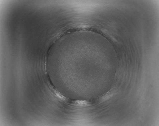 X0000070410528200606121333