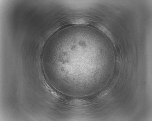 X0000070410529200606121332