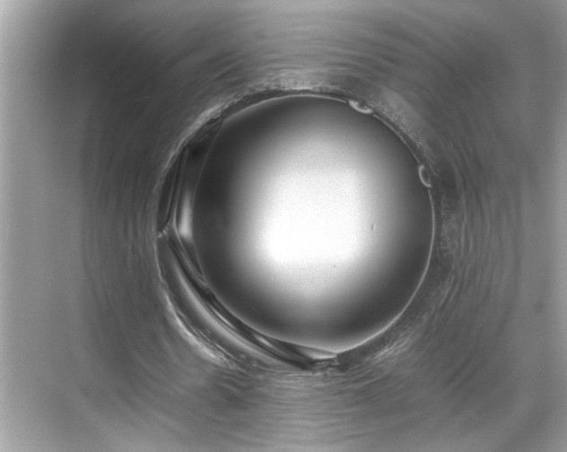 X0000070410530200606121332