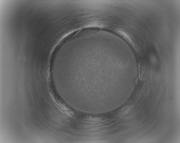 X0000070410531200606121332