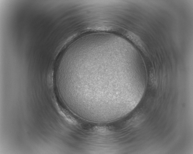 X0000070410534200606121332