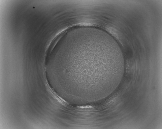 X0000070410535200606121332