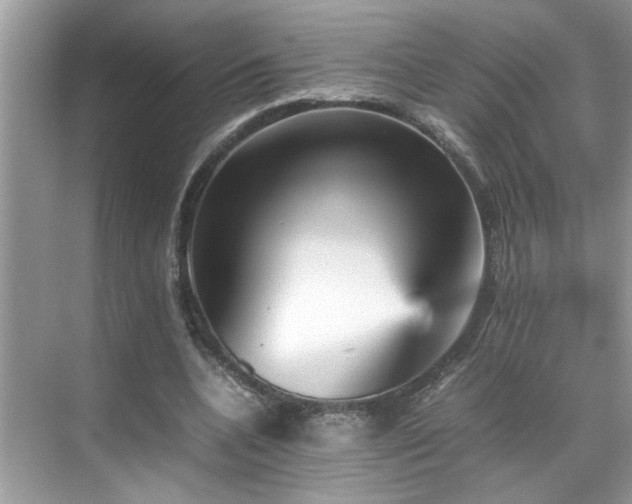 X0000070410536200606121332