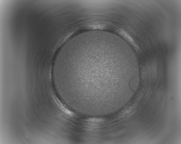 X0000070410537200606121332