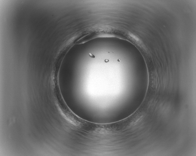 X0000070410538200606121332