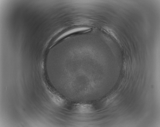 X0000070410539200606121332