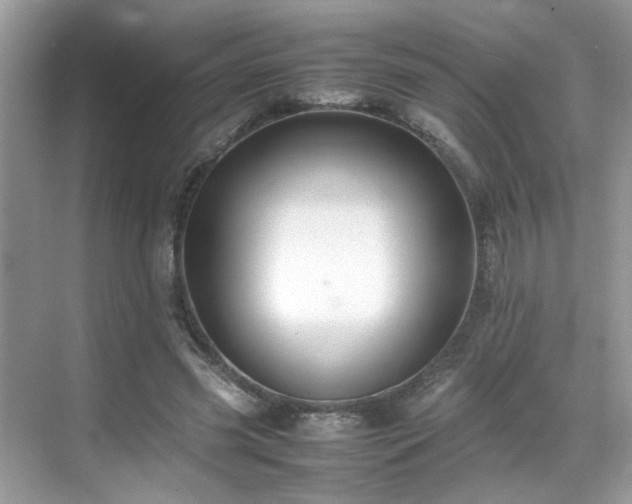 X0000070410541200606121332