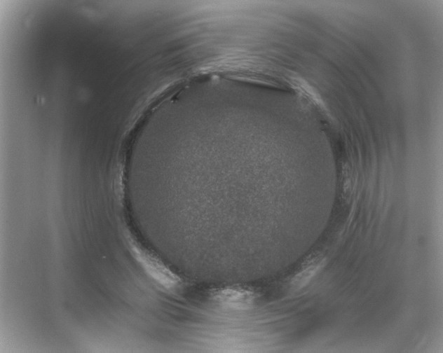 X0000070410542200606121332