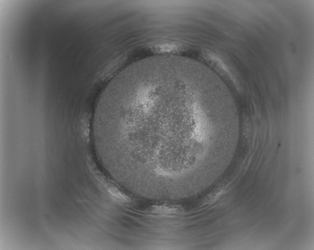 X0000070410545200606121332