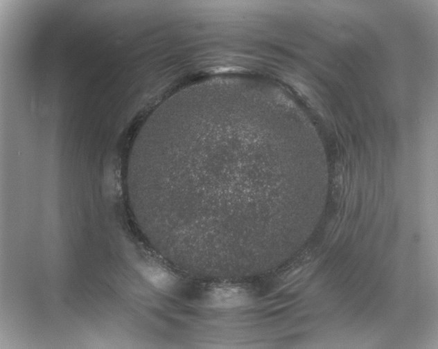 X0000070410547200606121332