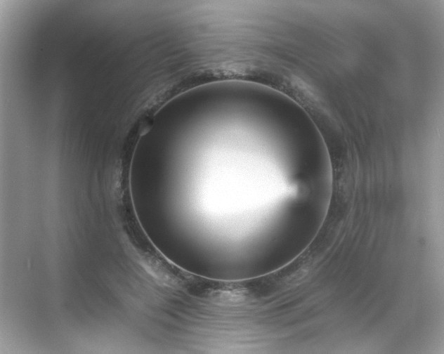 X0000070410548200606121332