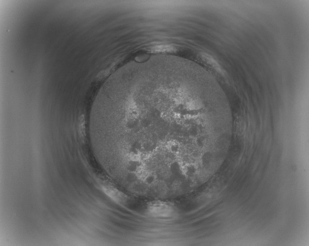 X0000070410549200606121332