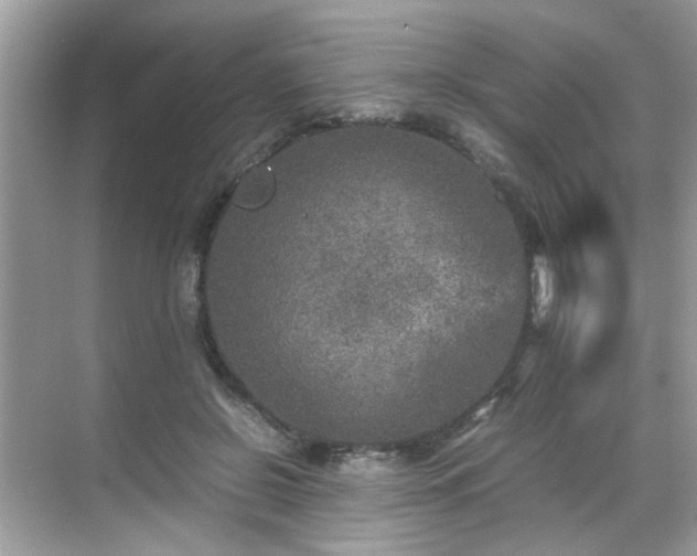 X0000070410550200606121332