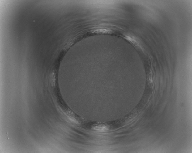 X0000070410551200606121332