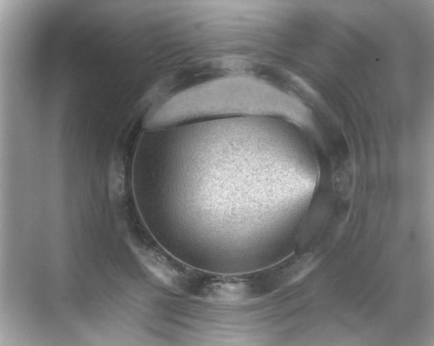 X0000070410552200606121332