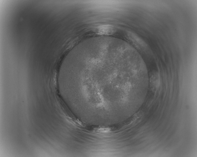 X0000070410554200606121332