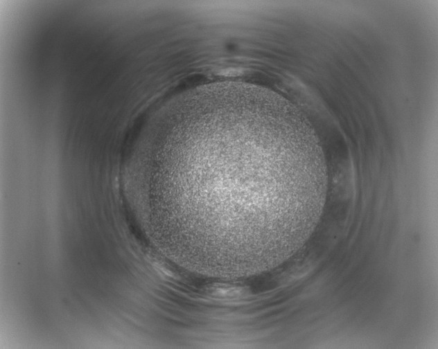 X0000070410555200606121333