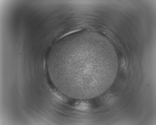 X0000070410559200606121333