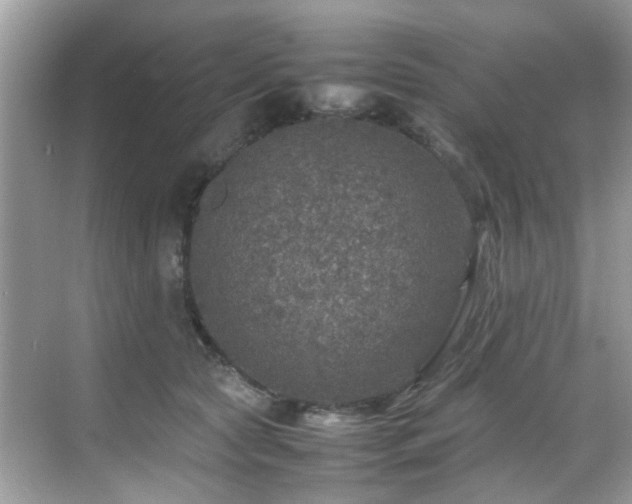 X0000070410561200606121333