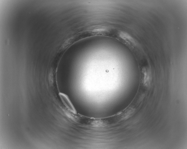 X0000070410562200606121333