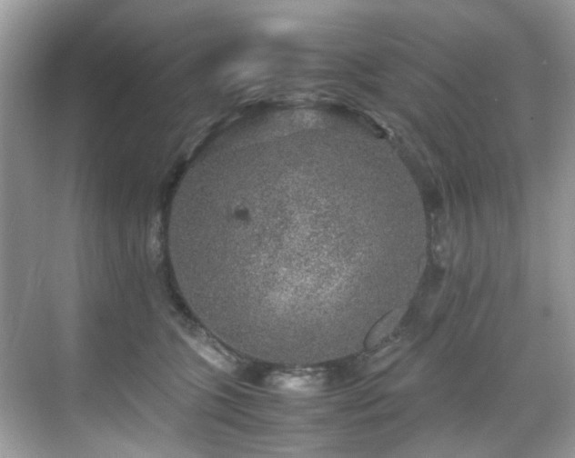 X0000070410563200606121333