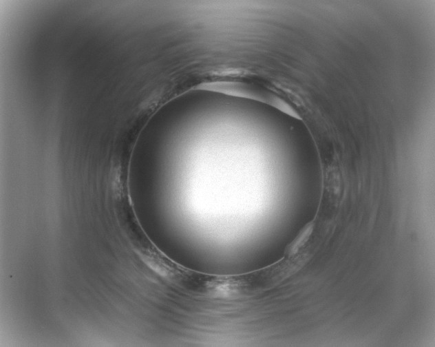 X0000070410564200606121333