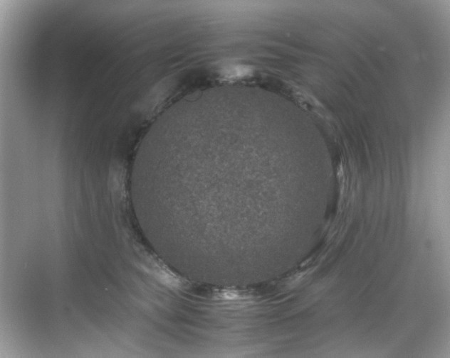 X0000070410565200606121333