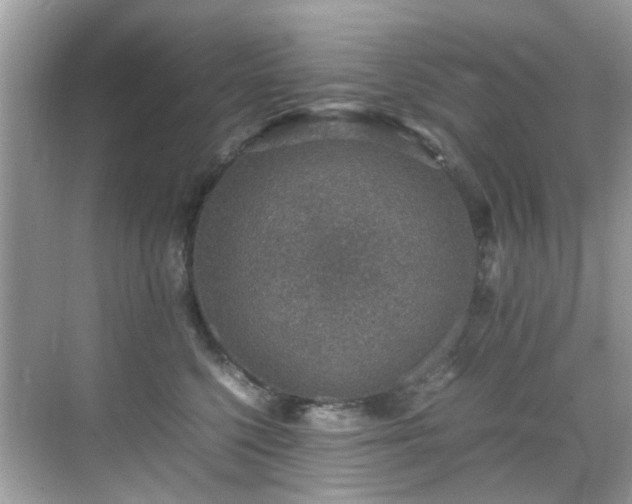 X0000070410568200606121333