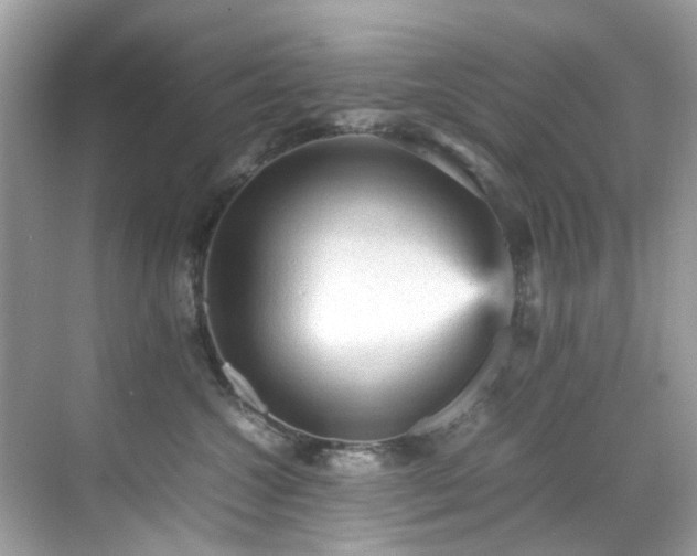 X0000070410572200606121333