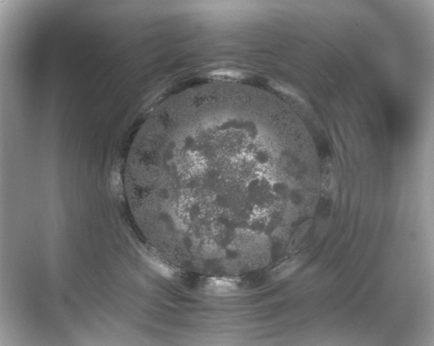 X0000070410573200606121333