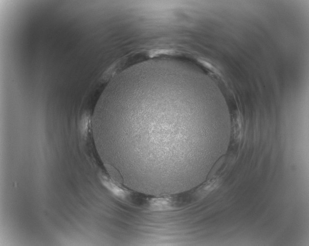 X0000070410574200606121333