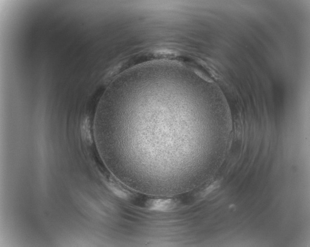 X0000070410575200606121333