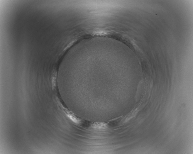 X0000070410576200606121333