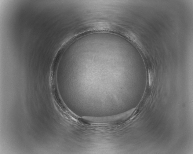 X0000070410579200606121332