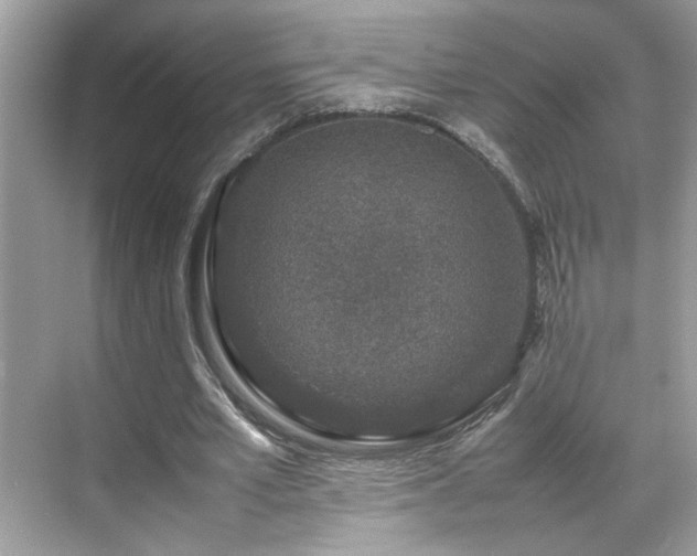 X0000070410581200606121332