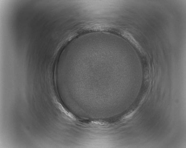 X0000070410585200606121332