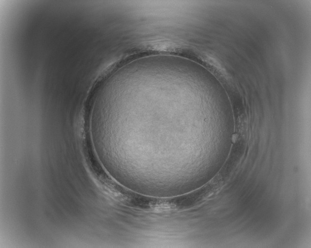 X0000070410587200606121332