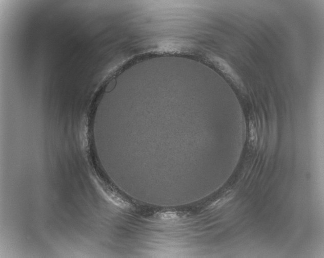 X0000070410588200606121332