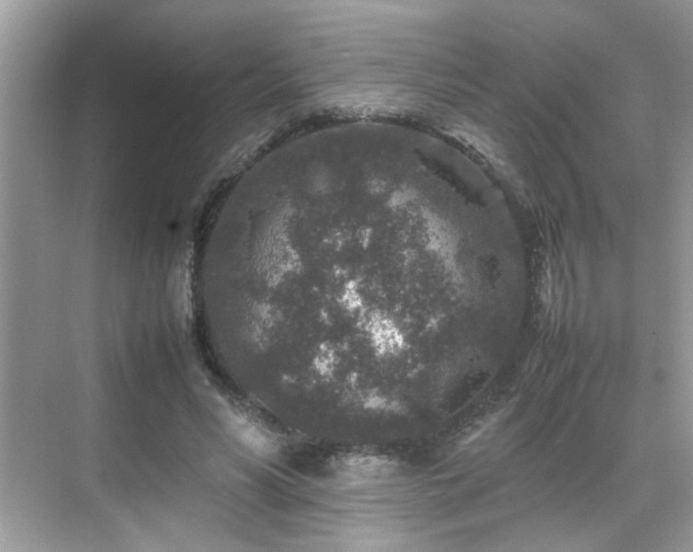 X0000070410590200606121332