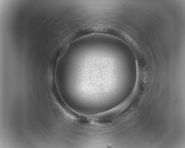 X0000070410593200606121332