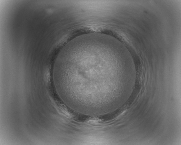 X0000070410595200606121332