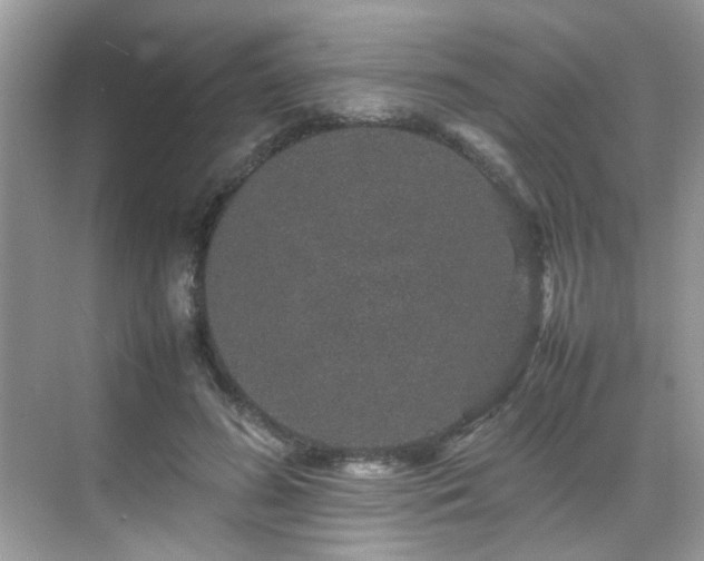 X0000070410596200606121332