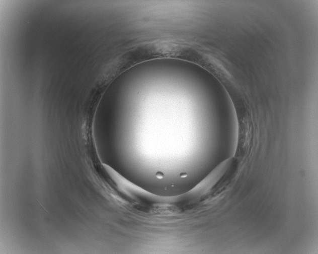 X0000070410597200606121332