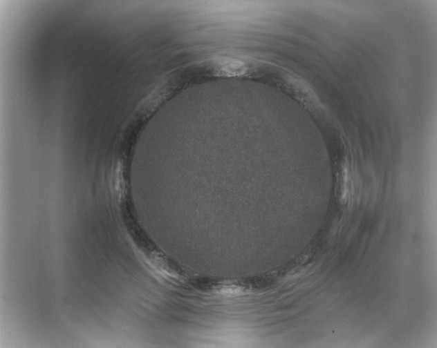 X0000070410598200606121332