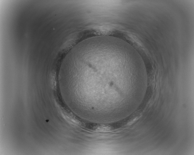 X0000070410599200606121332